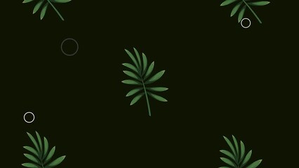 Wall Mural - tropical leafs in black background