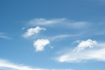 Wall Mural - The white clouds have a quaint and rural shape. The sky is cloudy and blue