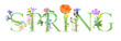 © cat_arch_angel - watercolor drawing lettering spring with flowers, hand drawn illustration