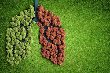Poster - Creative green lungs on grass background with mock up place. Ecology and green energy concept. 3D Rendering.