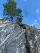 Marble rock wall in an Italian quarry with a trees on top of it