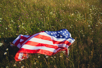 USA flag on the meadow