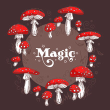 Fairy Rings. Magic Witchs Circle Of Fly Agaric Mushrooms. Vintage Bright Botanical Illustration In Sketch Style. For Halloween Posters, Postcards, Banners, Printing On Fabric.