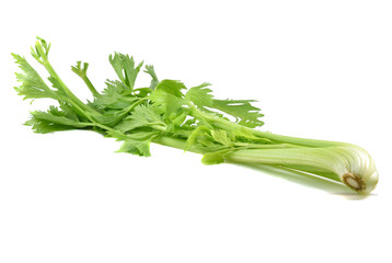 Wall Mural - Fresh green celery isolated on white