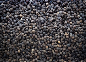 the black pepper close up