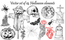 Vector Set Of 14 Halloween Elements In Engraving Style. Graphic Linear Skull, Carved Pumpkin, Scarecrow, Mushrooms, Human Heart, Tombstones, Skeleton Hand, Cobweb, Candles, Spiders, Moth