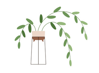 Wall Mural - Potted foliage home plant on stand. Houseplant growing in planter. Indoor interior decoration with leaf and stems hanging down to floor. Flat vector illustration isolated on white background