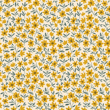 Mustard Yellow Flowers Field Free Stock Photo - Public Domain Pictures