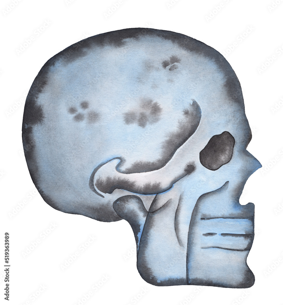 Human skull, vintage blue watercolor hand painted illustration on white ...