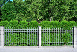 Fototapeta  - Green and metal fence separating the street and private property. Maintains privacy and security.