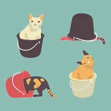 Four Fat Cat Confused In Bucket Background Green