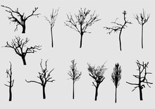 Set Of Trees