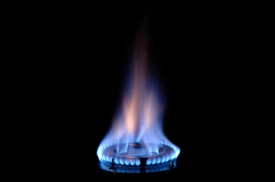 Fototapete - gas flame burns on a stove