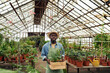 © Mediaphotos - Joyful young Black man wearing apron and hat standing in glasshouse holding box with plants looking at camera