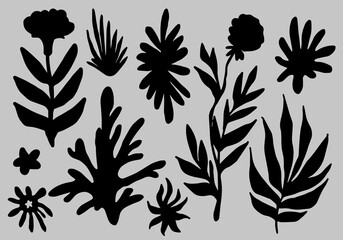 Poster - Set of botanical elements for poster, cover, pattern design. Black flowers and leaves in Fauvism and Modernism art style.