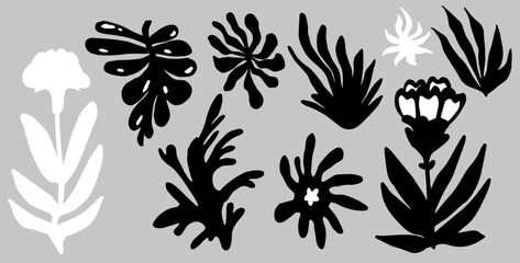 Poster - Set of botanical elements for poster, cover, pattern design. Black flowers and leaves in Fauvism and Modernism art style.