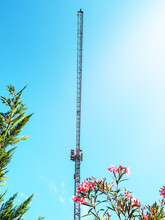 Construction Crane With A Flowers And Blue Sky. Bottom View Of A Long Crane Towering Over Flowering Bushes Against A Clear Blue Sky On A Sunny Day