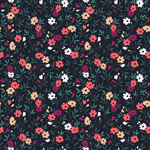 Beautiful Floral Pattern In Small Abstract Flowers. Small Colorful Flowers. Light Black Background. Ditsy Print. Floral Seamless Background. The Elegant The Template For Fashion Prints. Stock Pattern