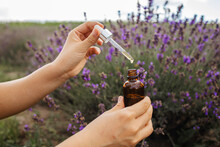 Dropper With Lavender Essential Oil Over A Bottle In A Blooming Field, Close-up.