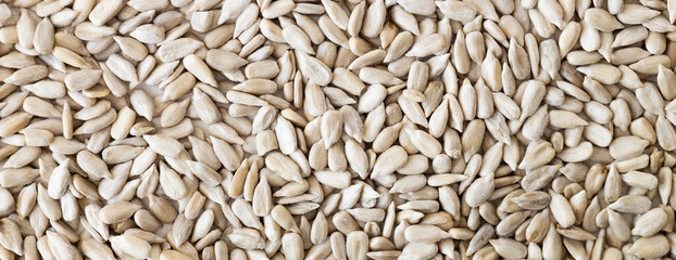 Wall Mural - Top view of a pile of natural organic sunflower seeds isolated on white background.