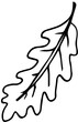 Polskie drzewa liściaste line art liść dąb