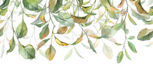 Long Seamless Banner With Autumn Colored Withered Leaves. Watercolor Hand Painted Botany Leaves. Banner Header For Designing Greeting Cards