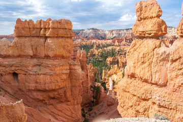 Looking out at Hoodoos in Bryce Canyon National Park, Utah, USA