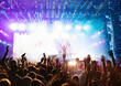 canvas print picture -  crowd partying stage lights live concert summer music festival