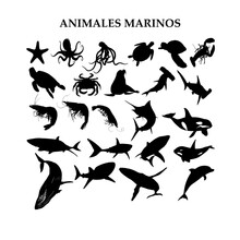 Animales Marinos, Silueta Vectorial De Animales Acuáticos.