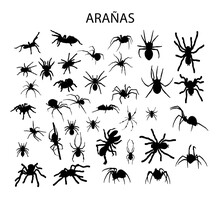 Arañas, Silueta Vectorial.