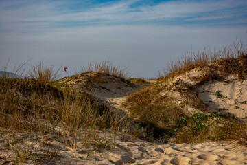 Wall Mural - dunes and mountains in the late afternoon in Florianópolis