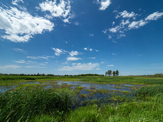 landscape with a prairie and a sky with clouds