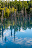 Fototapeta Sypialnia - 青空を写す秋の青い池　美瑛町

