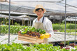 © Pichsakul - Hydroponic vegetable concept, Young Asian man holding basket of fresh lettuce in hydroponic farm