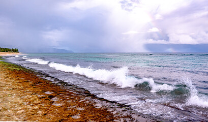 Wall Mural - Laniakea Beach (Turtle Beach) on the North Shore, Oahu, Hawaii