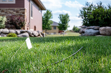 Fiber optic cable laying in the grass ready to be installed at a residential house.