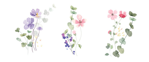 watercolor arrangements with small flower. Botanical illustration minimal style.