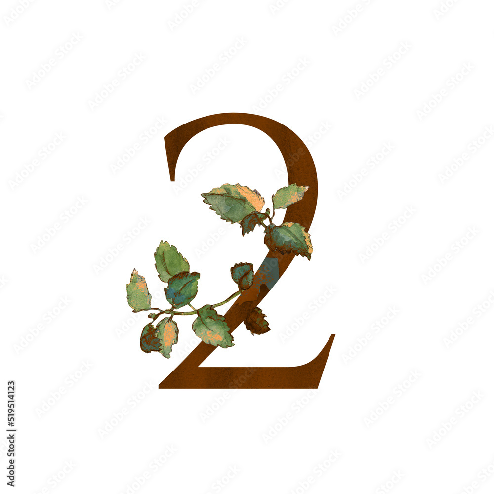 Shabby chic alphabet: number Two – 2 – symbol with melissa twigs ...