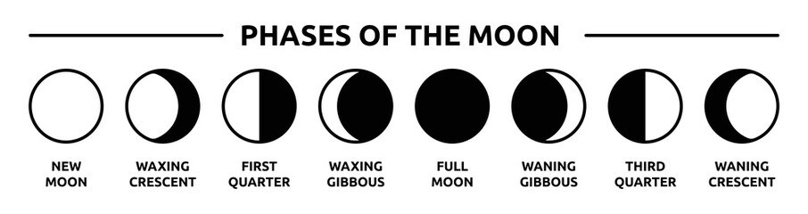 Poster - Phases of the moon icon silhouette design. Moon phases astronomy icon set Vector Illustration on the white background.