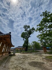 Wall Mural - wooden house