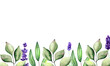 Botanical postcard with green leaves and lavender on a white background with space for text. Watercolor drawing for the design of spring posters and invitations.