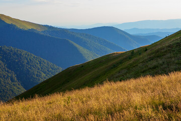 Wall Mural - Ukrainian Carpathians in summer. Borzhava ridge.