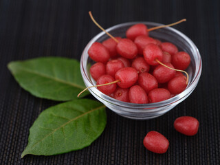 Wall Mural - Silverberries (elaeagnus or oleaster) in a glass bowl. Low key. Close up.