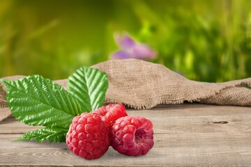 Wall Mural - Red raspberries in garden. Red sweet berries in fruit garden.