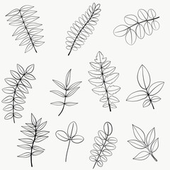  Simplicity floral freehand continuous line drawing flat design.