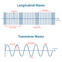Longitudinal And Transverse Waves. Vector Illustration Isolated On White Background.