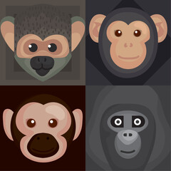 Wall Mural - four monkeys wildlife animals