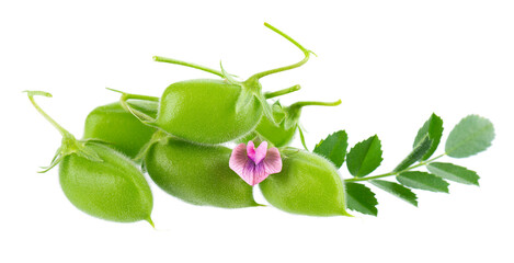 Green chickpeas in the pod with green leaves and flowers, isolated on white background. Cicer arietinum. Clipping path.