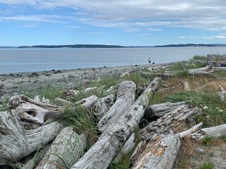 Wall Mural - Fort Worden State Park - Port Townsend - Washington