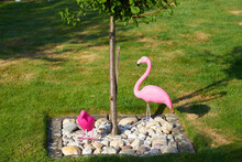 Pink Plastic Flamingo And Crow As Garden Decoration